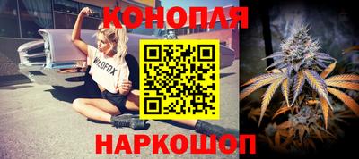 индика Пугачёв