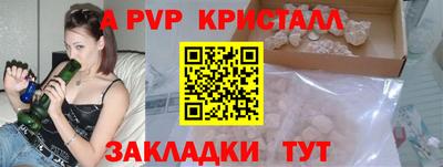 индика Пугачёв