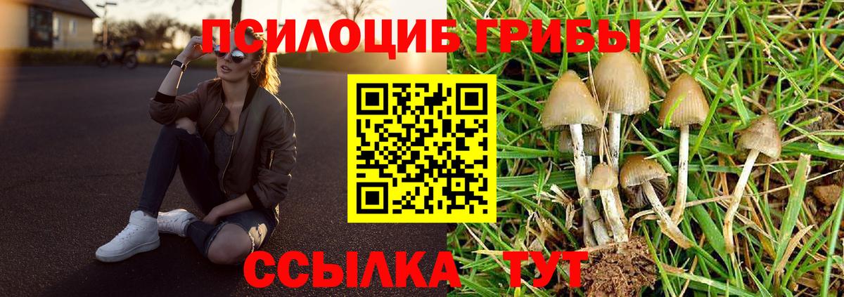 Прохладный  Галлюциногенные грибы GOLDEN TEACHER  Галлюциногенные грибы ЛСД  Вход с VPN 